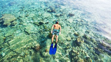 The best snorkeling in Roatán | OutsiderView