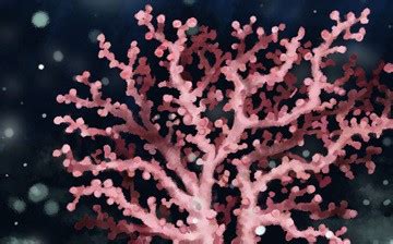 Bubblegum coral | PHYLO: THE TRADING CARD GAME