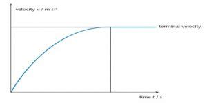 Terminal Velocity QS Study