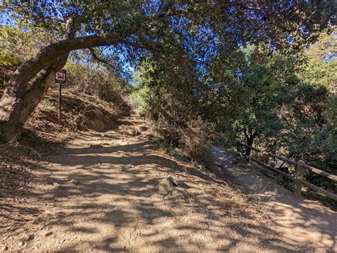 Favorite Local Hike: Temescal Canyon Trail, a Quick Guide — Brassy