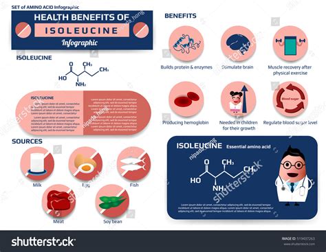 Set Health Benefits Isoleucine Essential Amino Stock Vector (Royalty ...