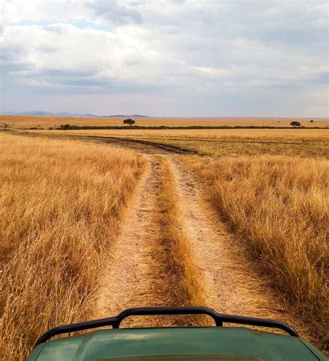 Kenya Safari Tour for Solo Travelers | EF Go Ahead Tours