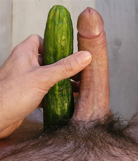 Cucumber In My Ass Pics XHamster