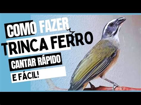 COMO FAZER TRINCA FERRO CANTAR RÁPIDO E FÁCIL YouTube