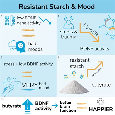 Resistant Starch, Butyrate & Mood - SelfHack