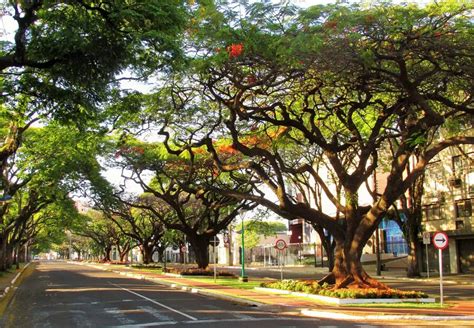 Veja Como Fica O Tempo Nesta Quarta Feira No Paran E Em Maring