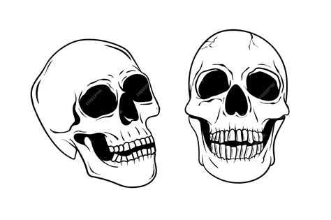 Premium Vector Skull Head Vector