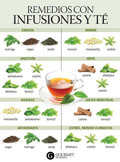 Beneficios del té y las infusiones en la herbolaria tradicional