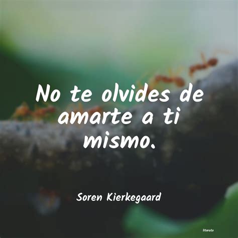 Descubrir 66 Imagen Frases De Amarte A Ti Mismo Abzlocal Mx