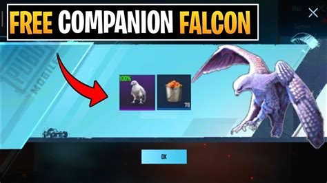 FREE FALCON IN BGMI 2024 HOW TO GET FREE FALCON COMPANION IN BGMI