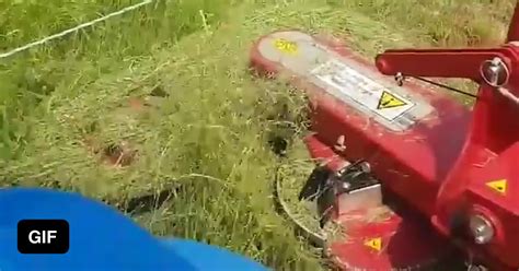 Cutting Grass Round Poles 9gag