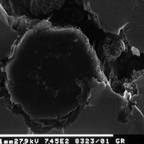 Ferritic Dci Fatigue Damage Evolution Near Fracture Surface Figure