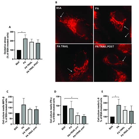 Effect Of Tumor Necrosis Factor Tnf Related Apoptosis Inducing Ligand