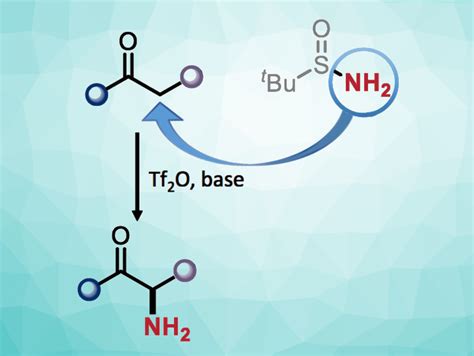 α Amination of Amides and Ketones ChemistryViews