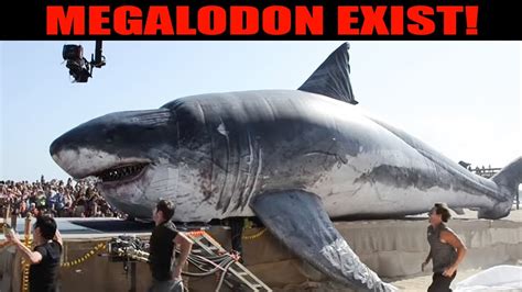 15 Recent Megalodon Encounters Caught On Camera Youtube