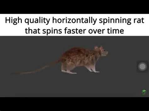 High Quality Horizontally Spinning Rat That Spins Faster Over Time