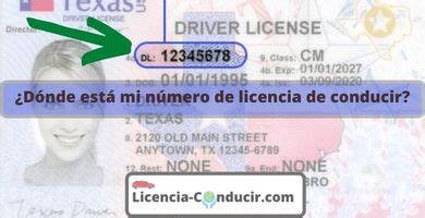 D Nde Est Mi N Mero De Licencia De Conducir