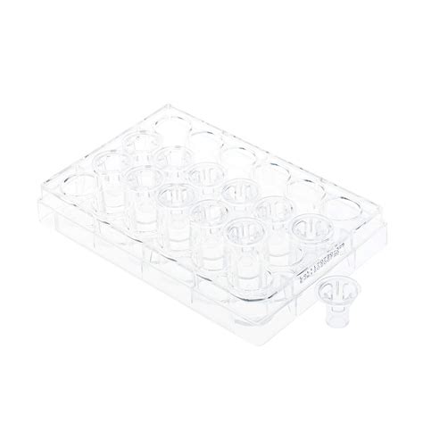 Buy Permeable Cell Culture Inserts Packed In 24 Well Plate Hanging