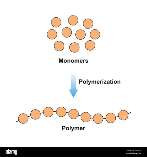 Scientific Designing of Polymerization Reaction. Converting Monomers to Polymer. Colorful ...