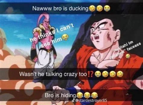 Dragon Ball Meme By Skulduggerybb On Deviantart