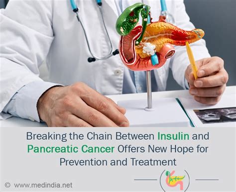 Link Between Insulin Obesity And Pancreatic Cancer