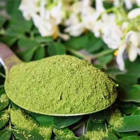 Organic Moringa Powder Packaging Type Plastic Packet Color Green