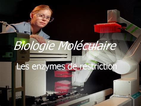 Biologie Molculaire Les Enzymes De Restriction Enzymes De