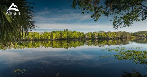 Best Trails Walks And Paths In Florida Alltrails