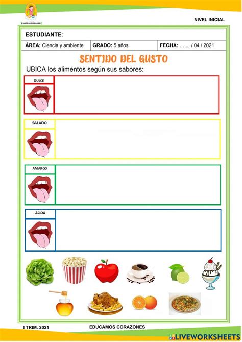 Sentido Del Gusto Interactive Activity Interactive Activities