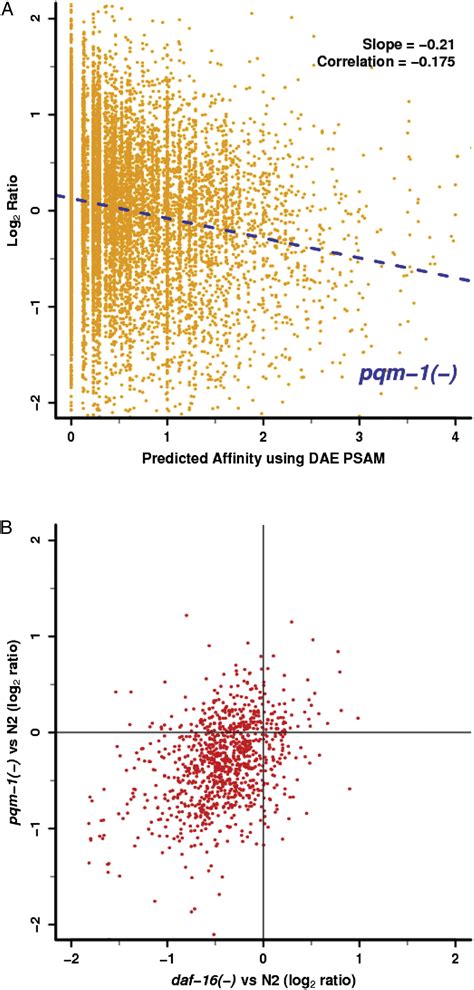 Pqm Complements Daf As A Key Transcriptional Regulator Of Daf