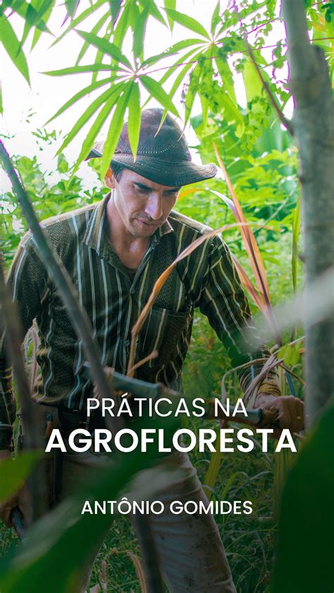 Manual Da Agrofloresta Tenha Uma Vida Viva E Abundante Atrav S Da