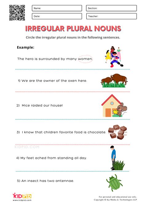 Grade Irregular Plural Nouns Worksheet