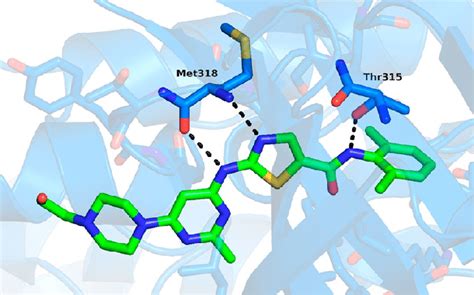 Structure Of Activated Abl Kinase Domain In Complex With Pdb Id