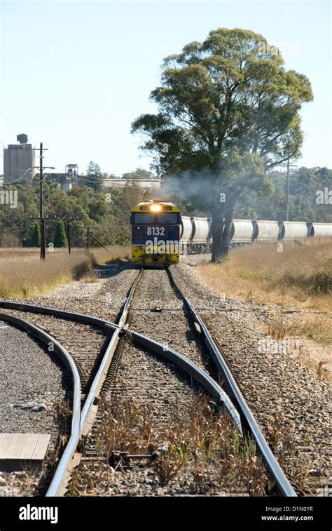 goods train carriages  res stock photography  images alamy