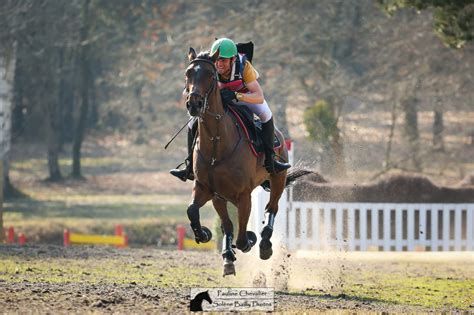 Le Haras Des Coudrettes Les Chevaux De Concours Complet Sont En Forme