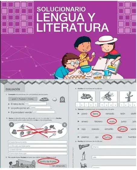 Libros De Lengua Y Literatura Resuelto Básica Y Bachillerato 2024