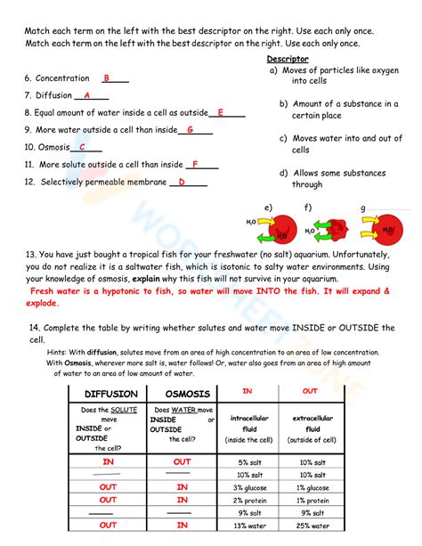 Free Collection Of Diffusion And Osmosis Worksheets