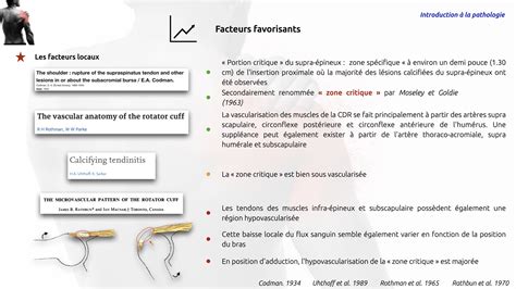 Module La Tendinopathie Calcifiante De L Paule Introduction La