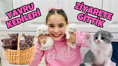 YENİ DOĞAN YAVRU KEDİLERİ ZİYARETE GİTTİK HADİ İSİM KOYALIM YouTube