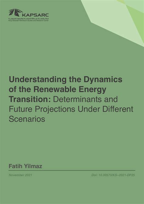 Understanding The Dynamics Of The Renewable Energy Transition The