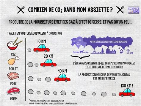 5 Façons De Réduire Facilement Son Empreinte Carbone Science Pop