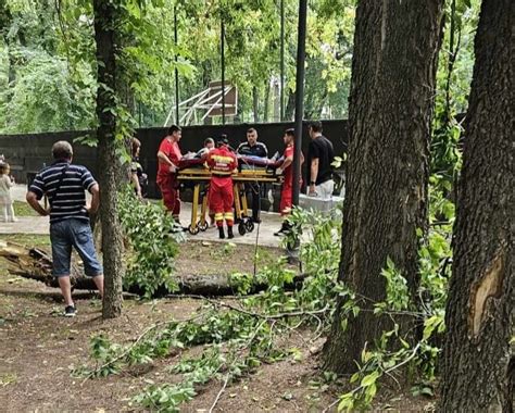 Femeie rănită într un parc din Craiova după ce o creangă dintr un