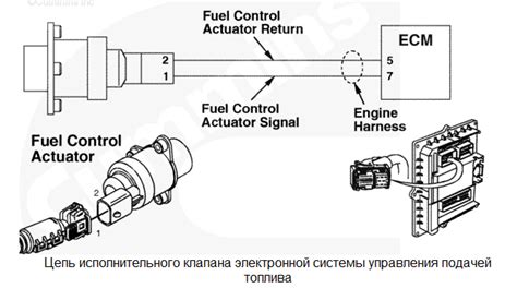 Fault Code Spn 2033 Fmi 19