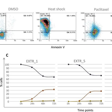 A Representative Examples Of Flow Cytometric Analysis Of Hl 60 Cells