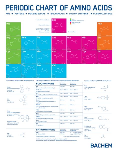 Periodic Amino Acids Chart