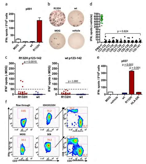 Spontaneous Idh R H Specific Cd T Cell Responses Are Detected