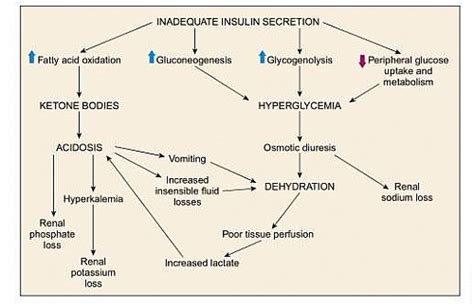 Diabetic Ketoacidosis (DKA): Symptoms, Causes, Criteria, DKA ...