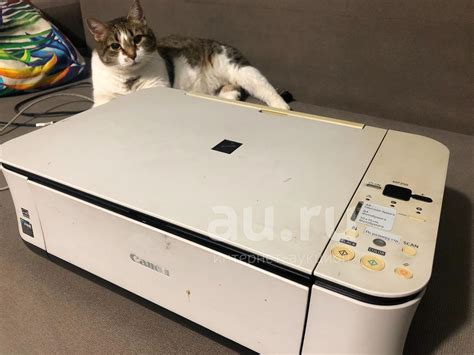 Принтер Canon MP250 — купить в Красноярске. Состояние: Б/у. Картриджи ...