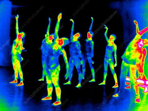 Aerobic Exercises Thermogram Stock Image C Science Photo