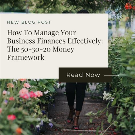 How To Manage Your Business Finances Effectively The 50 30 20 Money